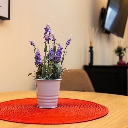 Apartment Mignon Beograd Bagian luar foto