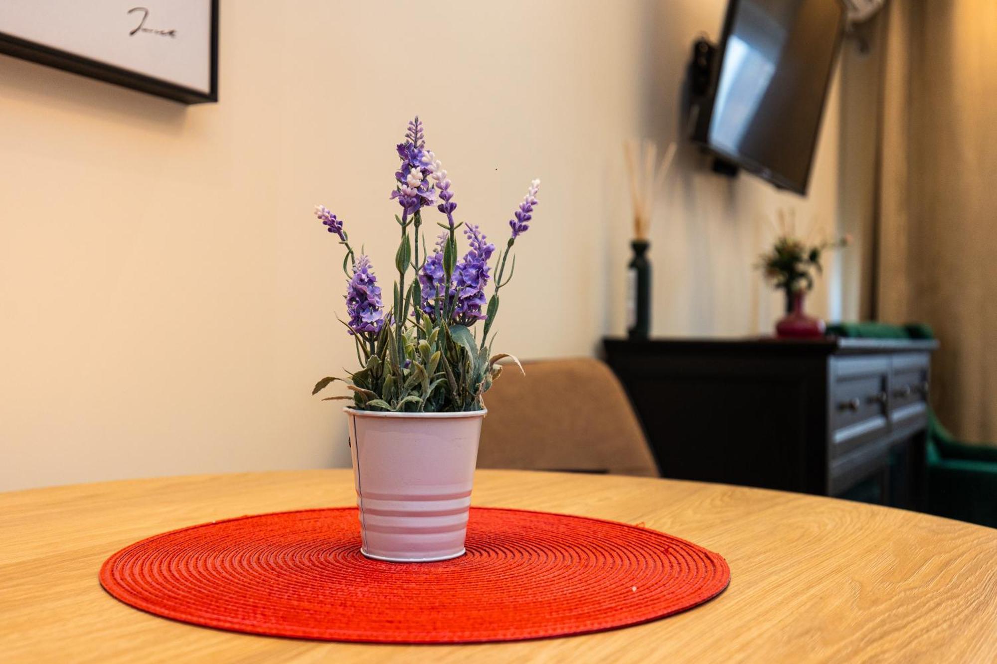 Apartment Mignon Beograd Bagian luar foto